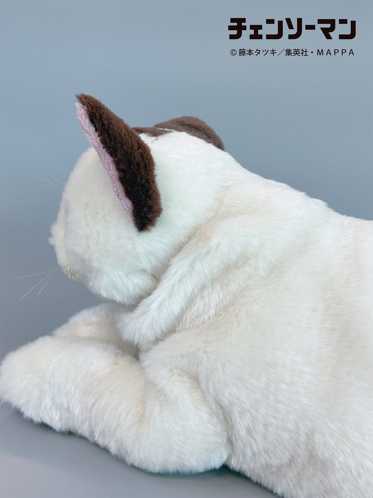 【ご予約11/17正午まで】チェンソーマン ひざねこニャーコ<3月中旬頃発送予定>