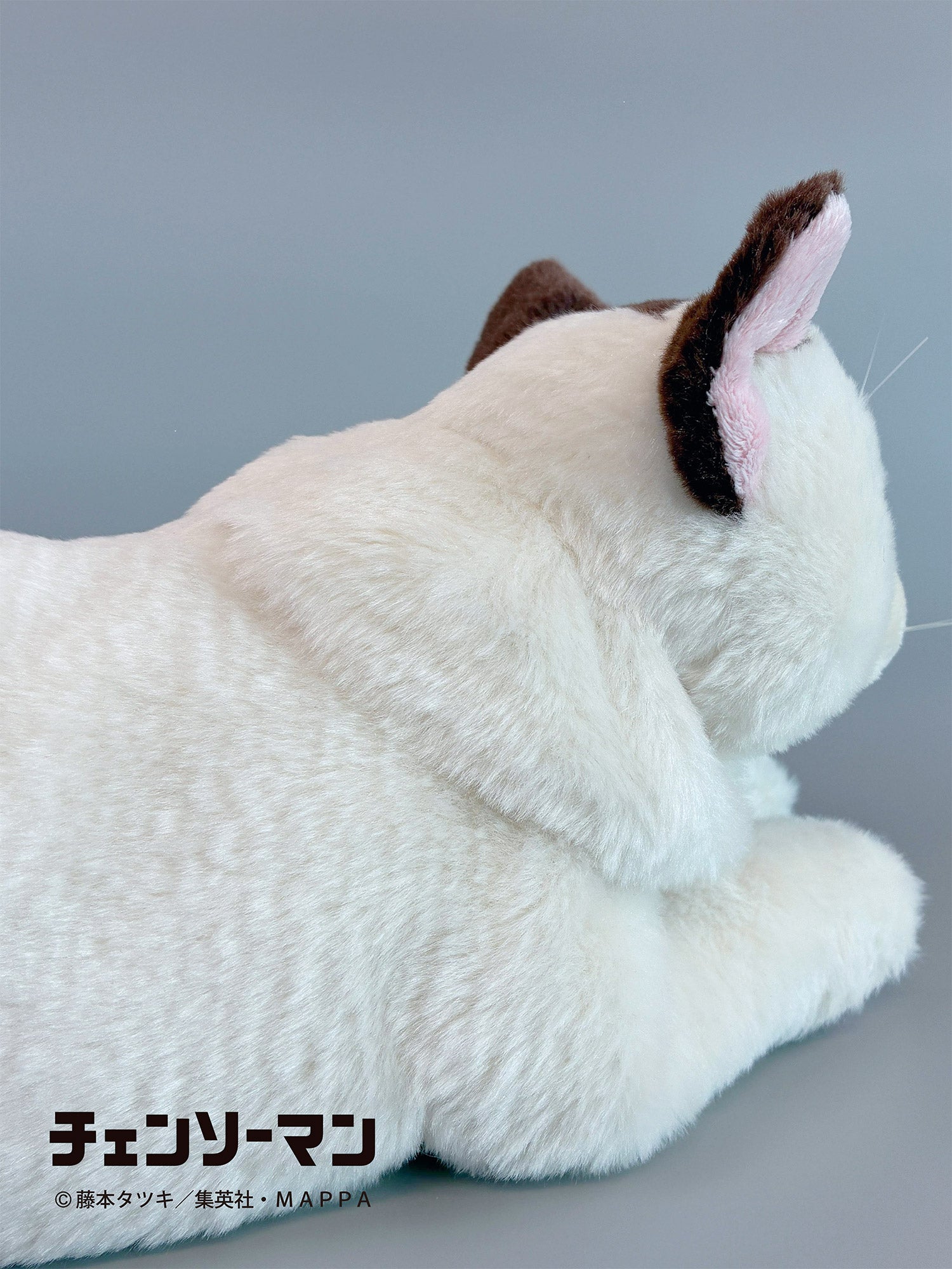 【ご予約11/17正午まで】チェンソーマン ひざねこニャーコ<3月中旬頃発送予定>