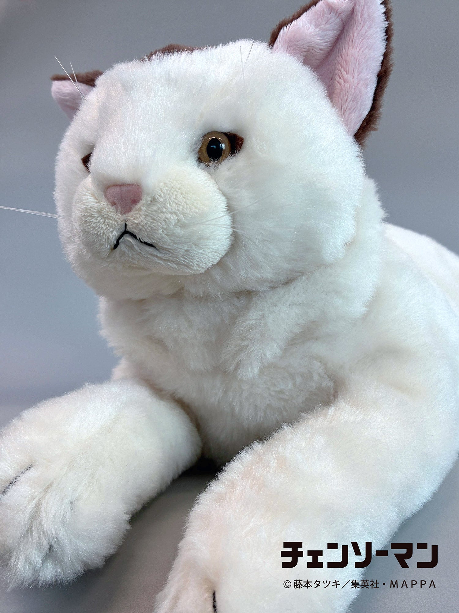 【ご予約1/13正午まで】チェンソーマン ひざねこニャーコ<3月中旬~下旬発送予定>