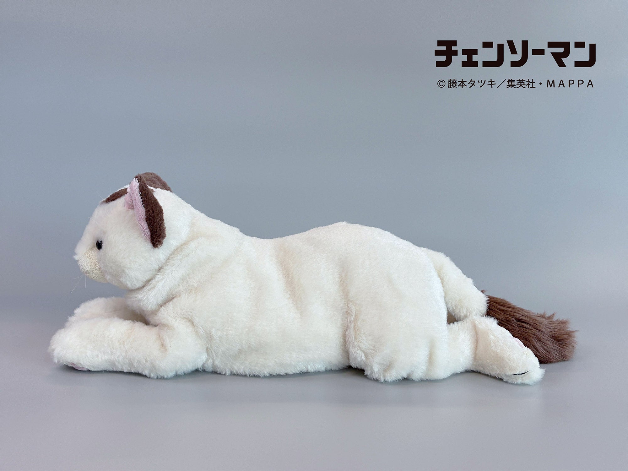 【ご予約11/17正午まで】チェンソーマン ひざねこニャーコ<3月中旬頃発送予定>