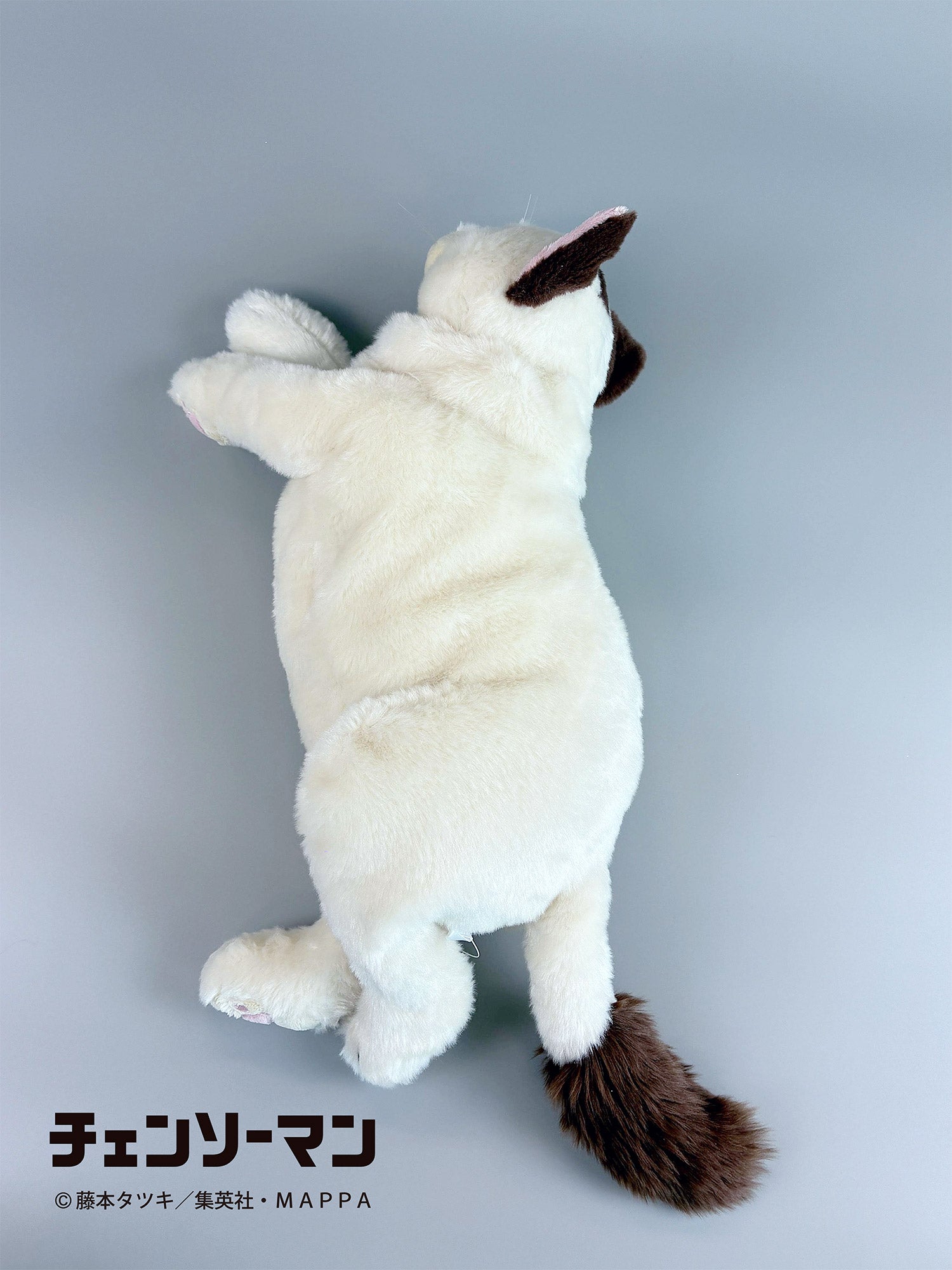 【ご予約11/17正午まで】チェンソーマン ひざねこニャーコ<3月中旬頃発送予定>