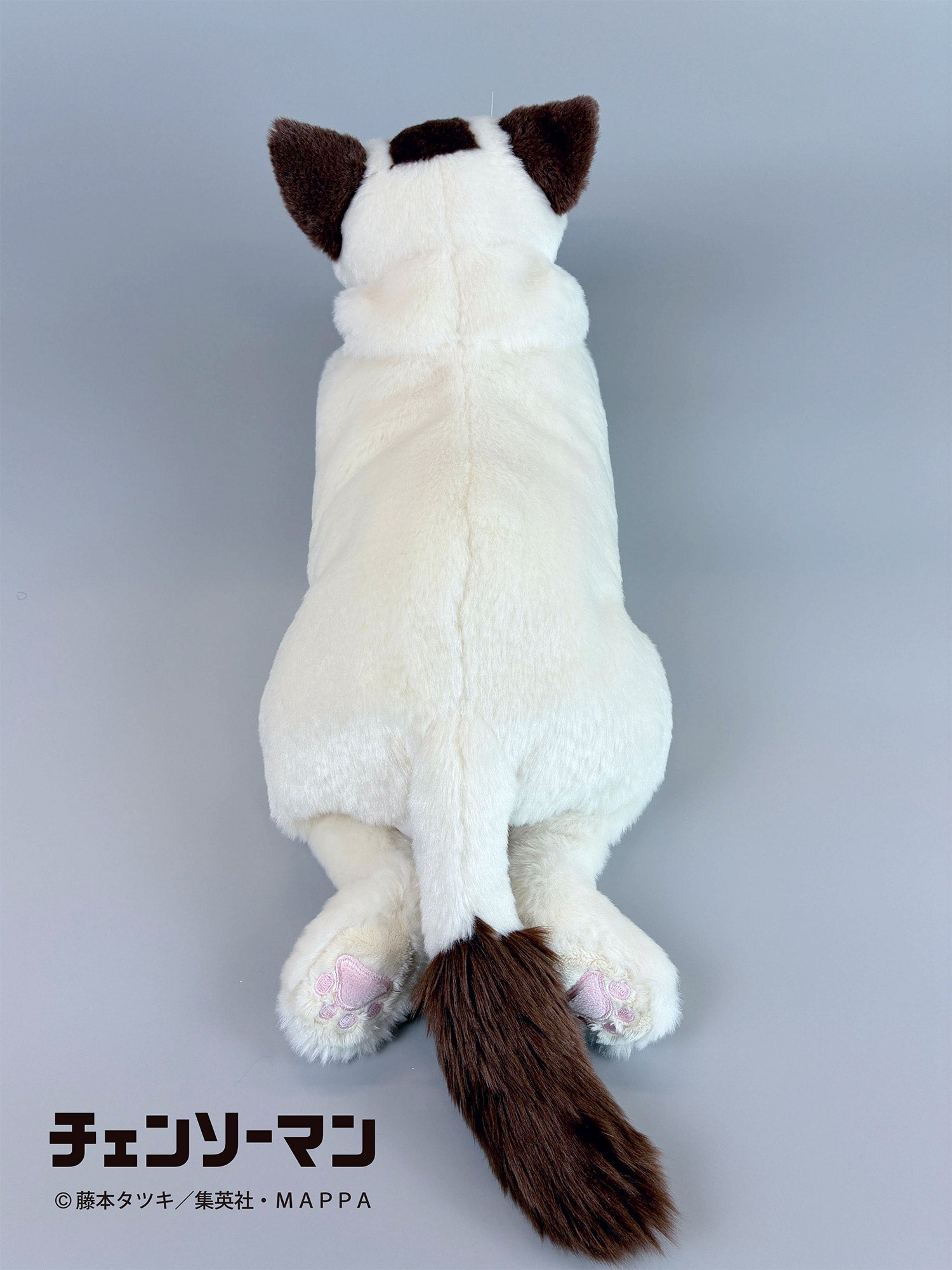 【ご予約1/13正午まで】チェンソーマン ひざねこニャーコ<3月中旬~下旬発送予定>