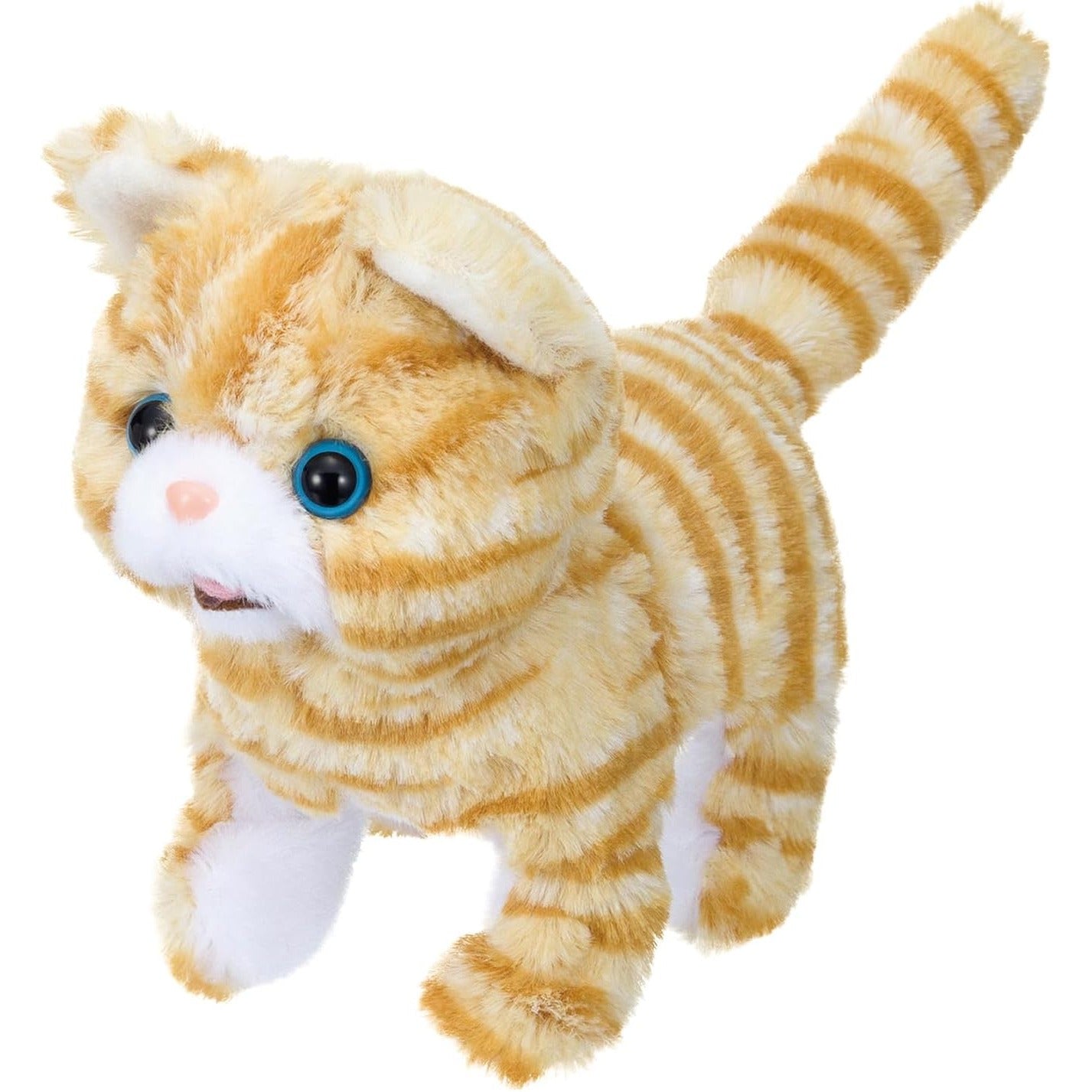 魔改造の夜THE MUSEUM 「ピッコリーネ スコティッシュ」