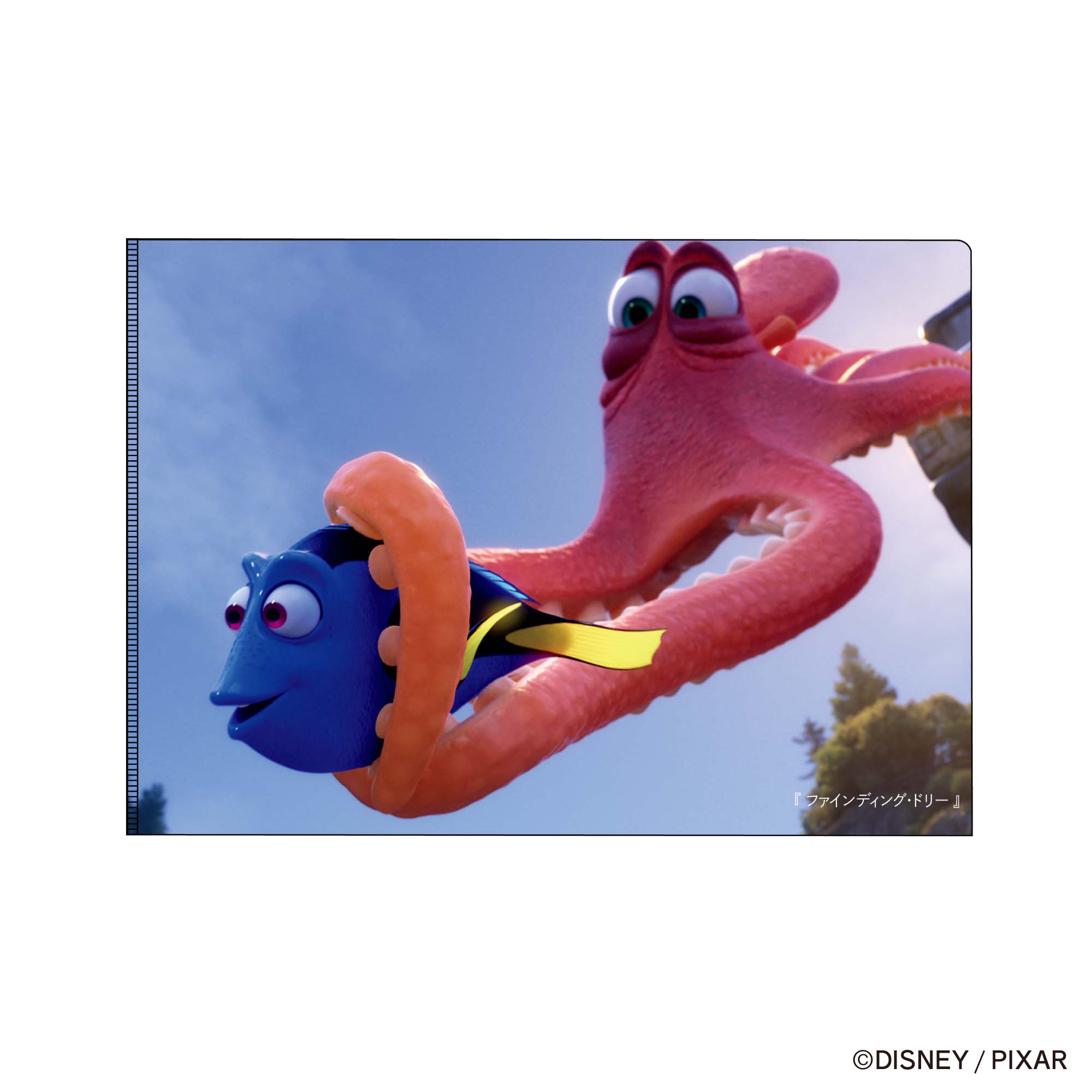 【A5クリアフォルダ】PIXAR! ファインディング・ドリー/F