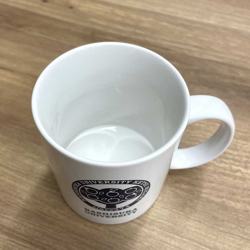 ふなっしーLAND ナシスカ大学マグカップ
