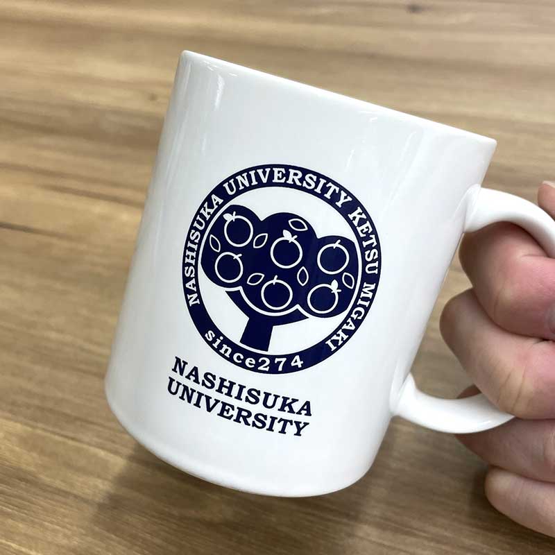 ふなっしーLAND ナシスカ大学マグカップ