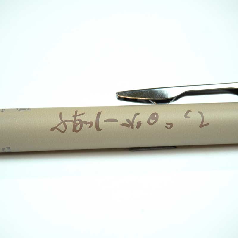 ふなっしーLAND ふなっしーフリクションボールノックゾーン