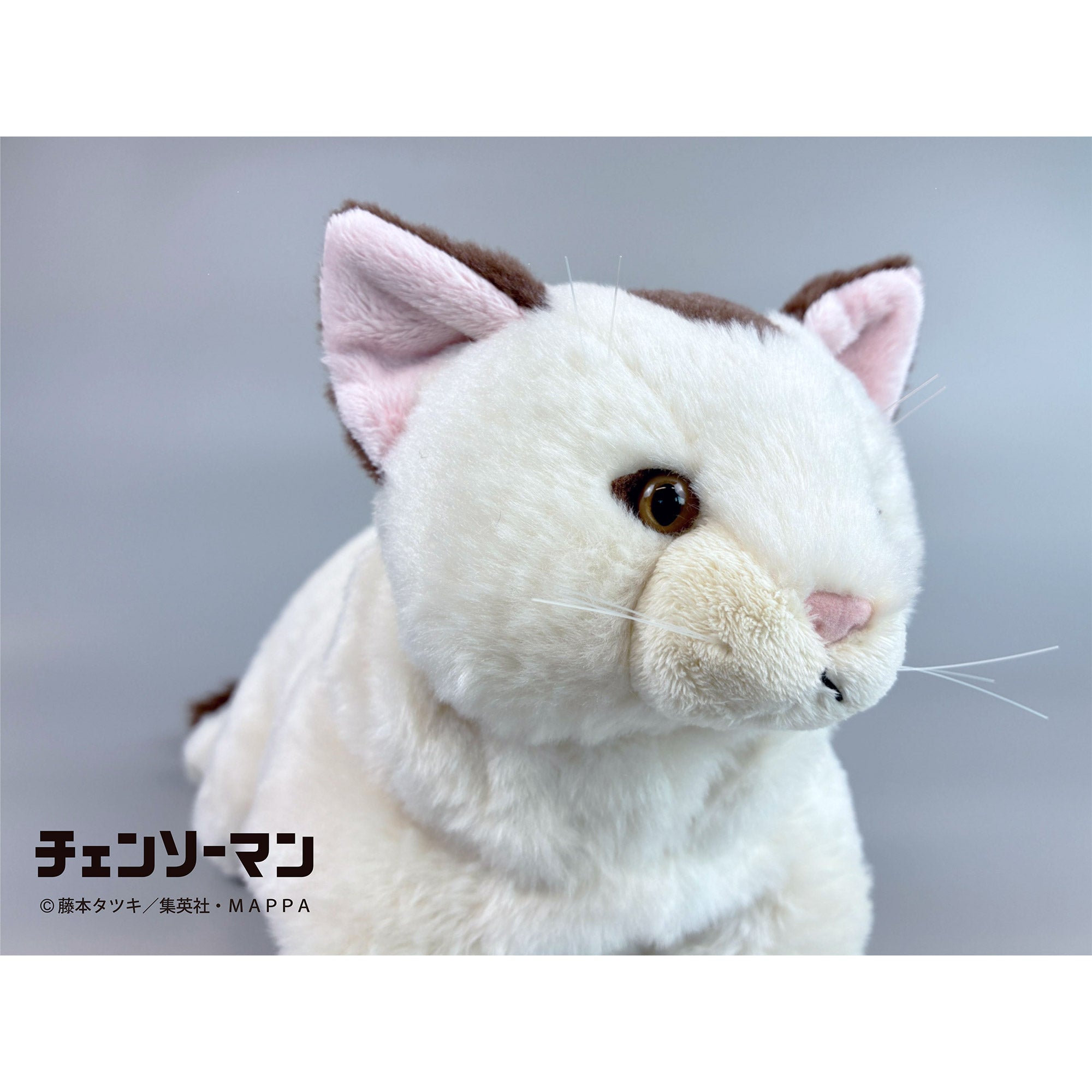 【ご予約11/17正午まで】チェンソーマン ひざねこニャーコ＜3月中旬頃発送予定＞