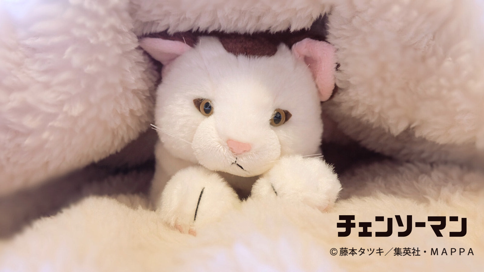 【ご予約11/17正午まで】チェンソーマン ひざねこニャーコ＜3月中旬頃発送予定＞