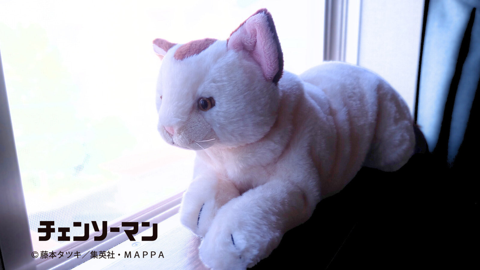 Pochimart】チェンソーマン ひざねこニャーコ【日本テレビサービス】