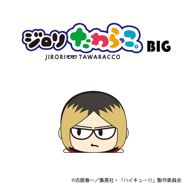 白猫様 3/1まで ハイキュー 孤爪研磨 ファン感謝デー マスコット PochiMart】ハイキュー!! たわらっこ。BIG (孤爪研磨)【日本テレビ