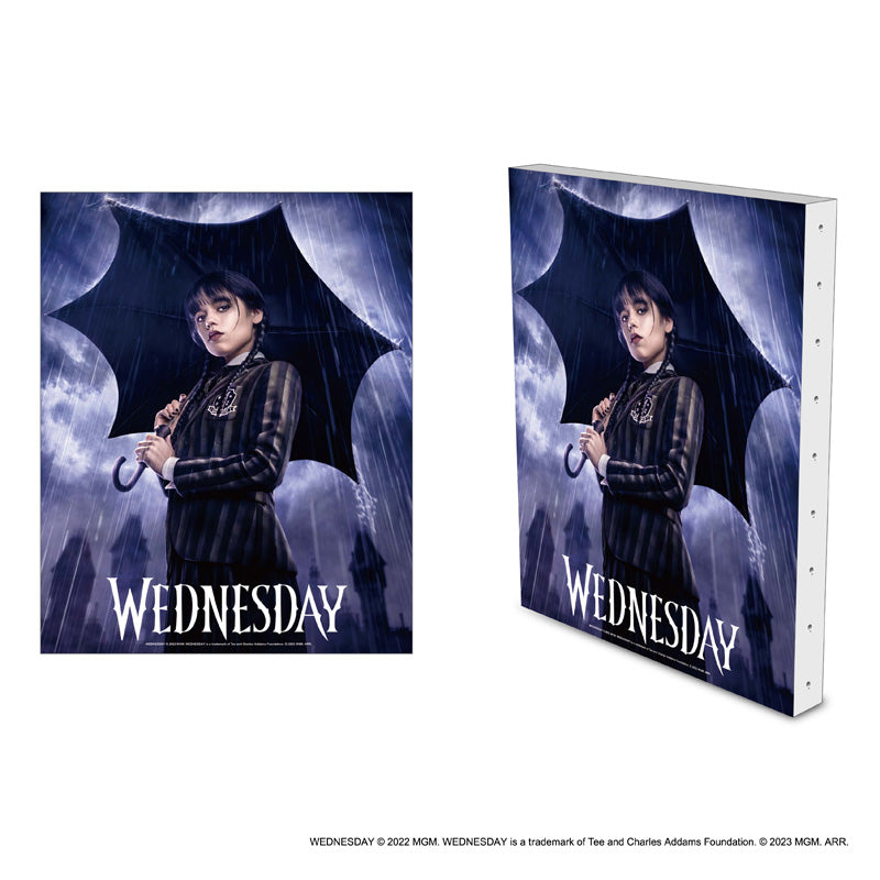 WEDNESDAY キャンバスボード