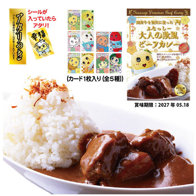 FL ふなっしーコラボ大人の欧風ビーフカレー17 アタリつき（カード１枚入り（全5種））